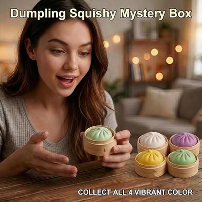 4Pcs Dumpling Squishy, Glitter Dumpling Squishy Mystery Box, Slow Rising Toy, Dumpling Stress Ball Fidget Sensory Toy with Mini Food Steamer, Easter Basket Stuffers for Adults