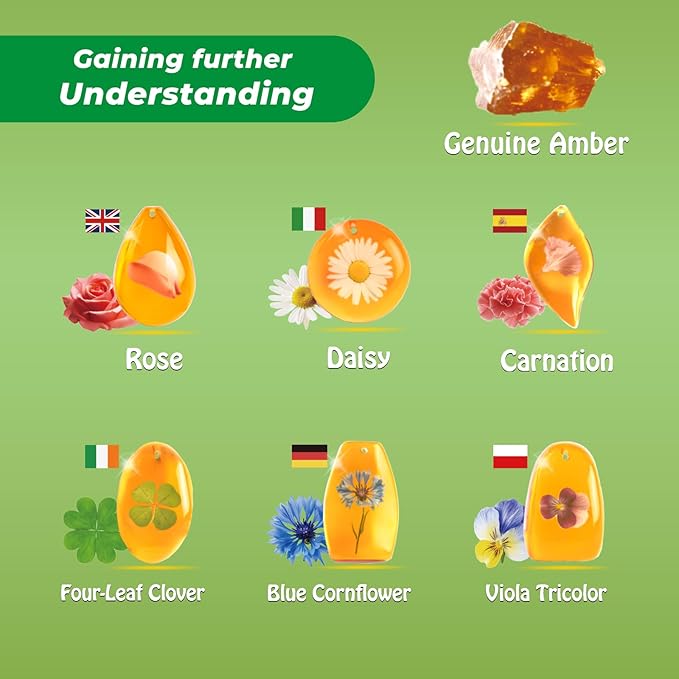 EDUMAN Amber Dig Kit - 6 Artificial Plant Resin Specimens, Biology Fossil Excavation Set with Natural Amber, STEM Inspired Educational Toy for Kids Ages 6-12, for Boys & Girls