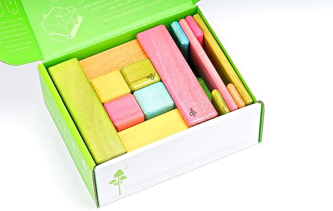 26 Piece Tegu Discovery Magnetic Wooden Block Set,1-99 years old, Tints
