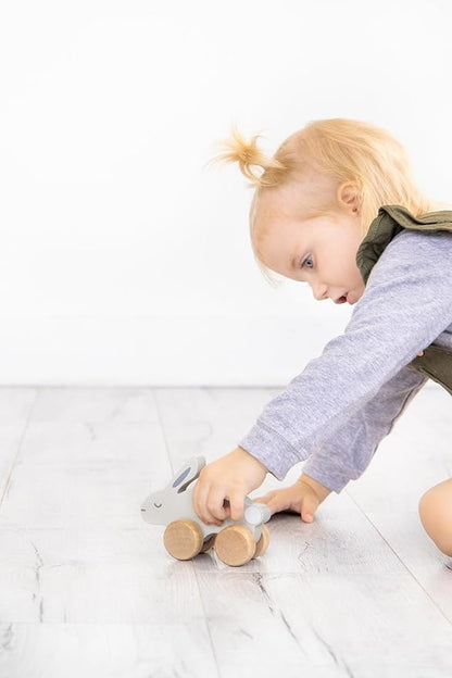 Pearhead Wooden Toy Bunny, Push and Pull Montessori Baby and Toddler Toy, Baby Girl or Baby Boy Nursery Accessory