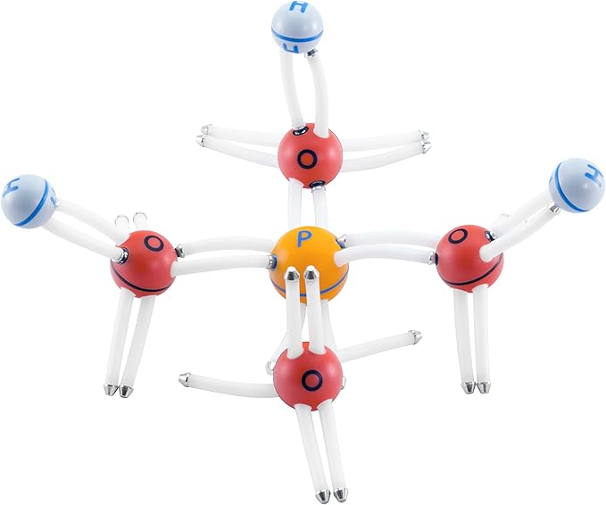 Happy Atoms Magnetic Molecular Modeling Complete Set | Intro to Atoms, Molecules, Bonding, Chemistry | Create Thousands of Molecules, 216 Activities, Plus Free Educational App for iOS, Android