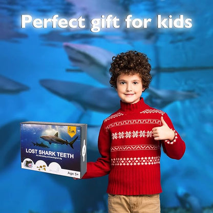 Shark Tooth Dig Kit, Shark Tooth Excavation Fossil, Shark Science Toy Gift for Kids Age 5+ for Holiday Birthday