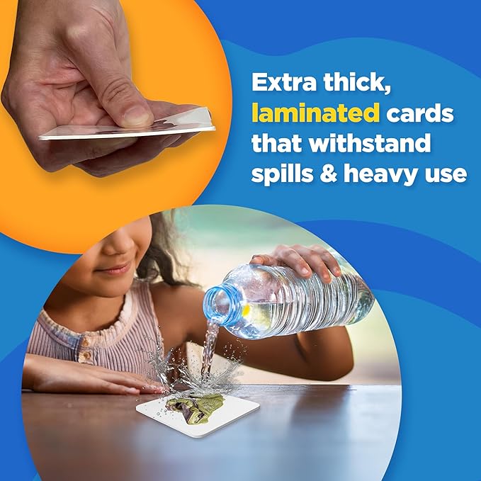 ThinkPsych Level 2 Nouns Flash Cards | 150 Picture Cards for Speech Therapy & Autism Learning Materials | Preschool Kindergarten Language Learning Cards | Homeschool Supplies | Apraxia Flash Card