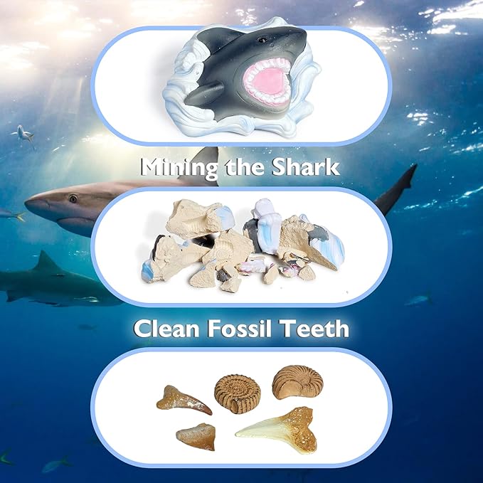 Shark Tooth Dig Kit, Shark Tooth Excavation Fossil, Shark Science Toy Gift for Kids Age 5+ for Holiday Birthday