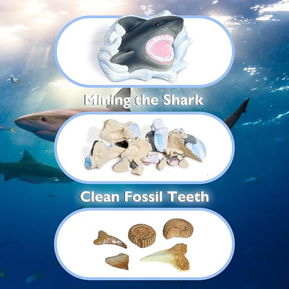Shark Tooth Dig Kit, Shark Tooth Excavation Fossil, Shark Science Toy Gift for Kids Age 5+ for Holiday Birthday