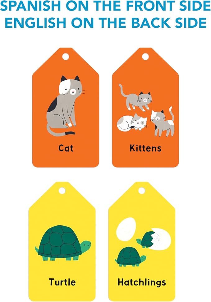 Mudpuppy Spanish English ABC — Ring Flashcards 26 Double Sided Bilingual Alphabet Cards Reclosable Ring With Colorful Art For Ages 1+ Perfect For Preschool Or Travel For Teachers And Parents