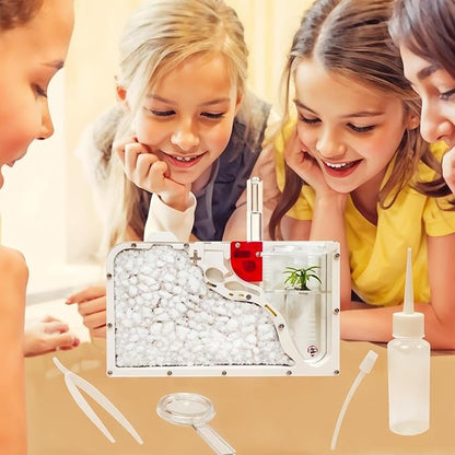 Sand Ant Farm Castle for Kids,Large Ant Habitat to Study Insect Behavior,Ant Colony Ecosystem Science Educational Gift for Classroom