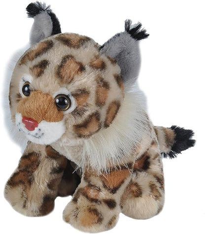Wild Republic Bobcat Plush, Stuffed Animal, Plush Toy, Gifts for Kids, Cuddlekins, 8 Inches,Multi