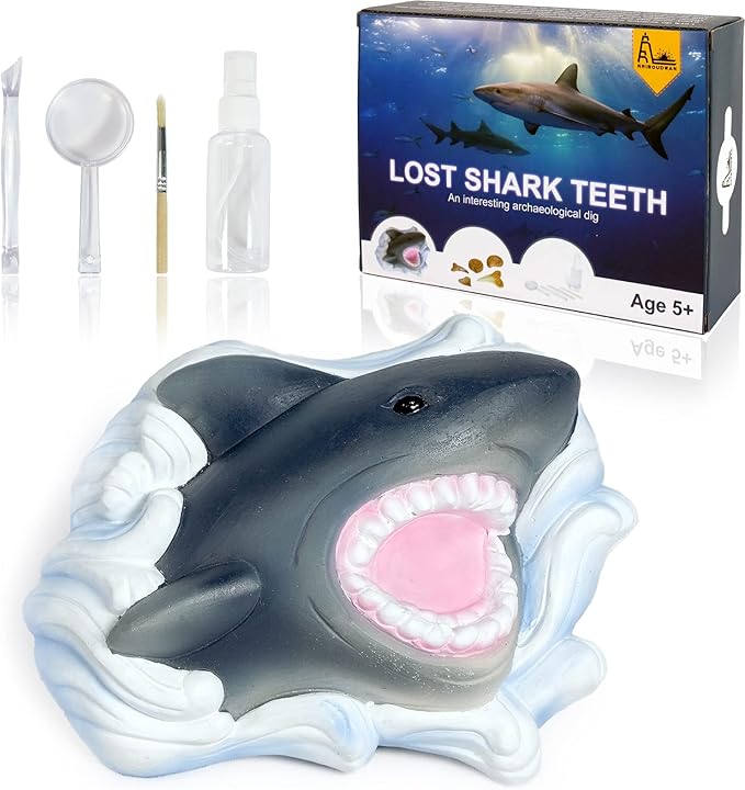 Shark Tooth Dig Kit, Shark Tooth Excavation Fossil, Shark Science Toy Gift for Kids Age 5+ for Holiday Birthday