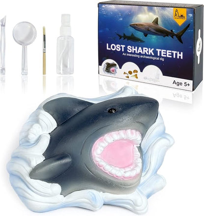 Shark Tooth Dig Kit, Shark Tooth Excavation Fossil, Shark Science Toy Gift for Kids Age 5+ for Holiday Birthday