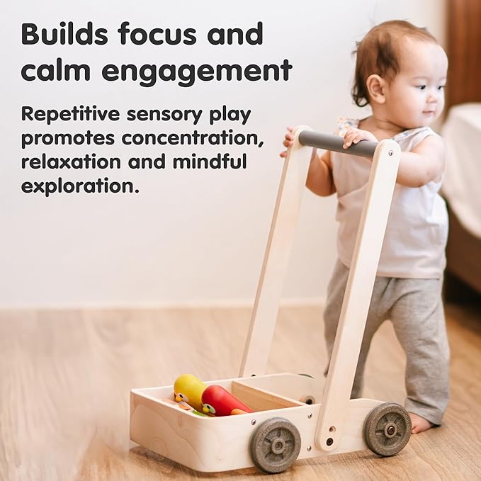 PlanToys® Musical Bird Walker Wooden Push Toy with Sound | Montessori Developmental Activity for Balance, Rhythm & Coordination | Eco-Friendly Educational Toy for Early Learning