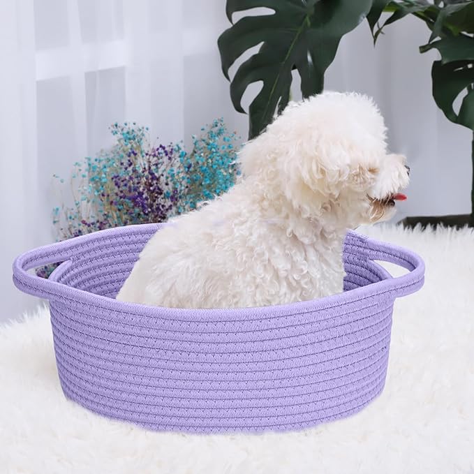 ABenkle Small Basket with Handles - Decorative Durable Rope Woven Storage Bin Shelf Storage Organizer Cube, Easter Baby Gift Basket, 12"x8"x5"