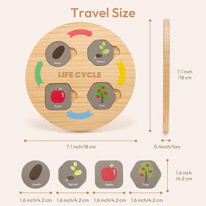 Life Cycle Toys for Kids, 12 Themes Montessori Preschool Science Center Materials, Wooden Learning & Educational Toys for Toddlers, Learning Game Travel Toy Birthday for Boys Girls Age 3-6