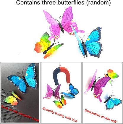 EUDAX Physics Science Magnets Kit for Education Science Experiment Tools Icluding Bar/Ring/Horseshoe/Compass Magnets