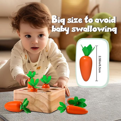 Montessori Toys for 1 Year Old, Montessori Baby Carrots Toy for 6-12 Months, Educational Wooden Carrot Harvest Game for Shape Sorting & Easter Toys, Birthday Gifts for Babies Boys Girls