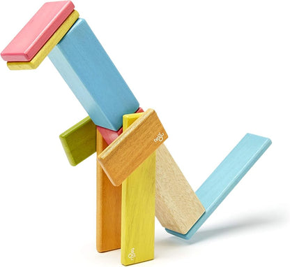 Tegu 14 Piece Magnetic Wooden Block Set in Tints