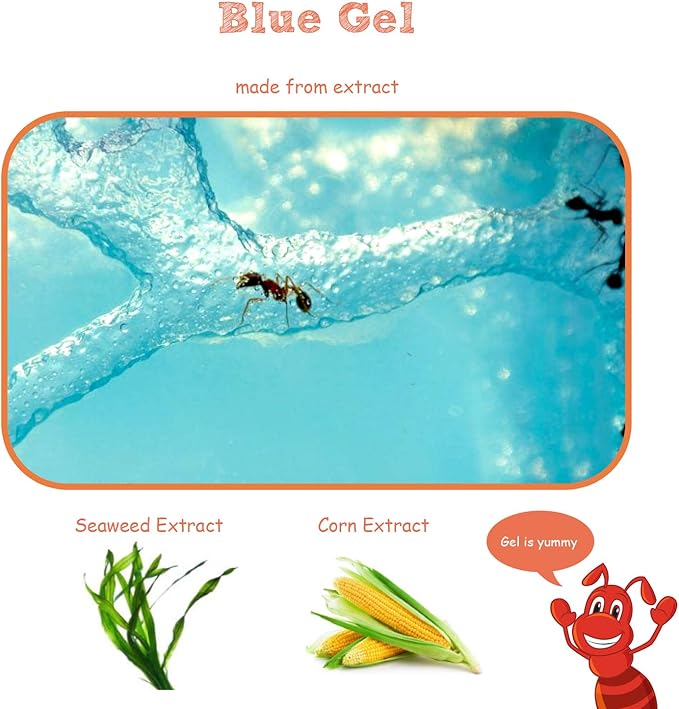NAVADEAL Ant Farm Castle Experiment and Toy Allows Study of Social Structure, Architecture, Ecosystem, and The Behavior of Ants Within The 3D Maze of Translucent Gel