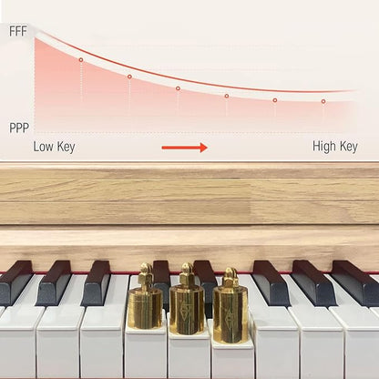 Digital Piano Keyboard for Beginners & Professionals, Electric Piano with Sliding Cover Design, 88 Keys Digital Piano Headphone Jack,Three Pedal （No Piano Bench ）