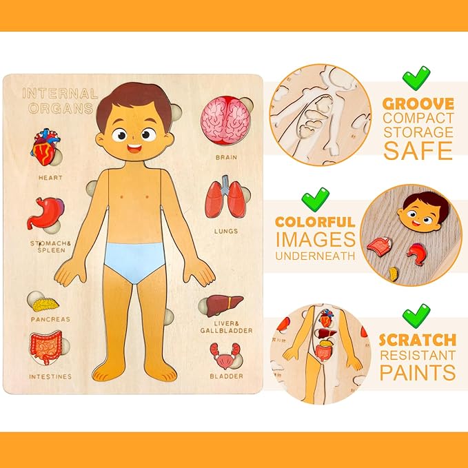 Wooden Body Puzzles for Kids, Toddler Montessori 14 Pieces Boy Anatomy Puzzle, Human Body Learning Toy with Internal Organs Early STEM Educational Toy for Boys and Girls Ages 3 4 5 6 Years Old