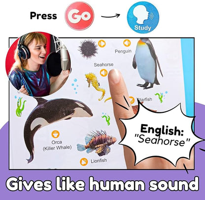 ZeenKind English Words Sound Book for Kids Toddlers 2,3,4,5,6 Years Old, 300+ Words Talking Interactive Audio Books for Early Learning English, and Educational Electronic Toy