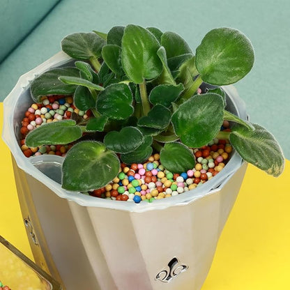 4lb LECA Clay Pebbles 4-5MM- Yellow Clay Balls for Plants, Leca Balls for Plants, Horticultural Grade for Soil Hydroponics Aquaponics