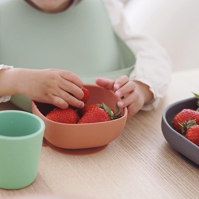 BEABA 100% Silicone 4 Piece Baby Feeding Set, Suction Plates for Baby, Includes Plate, Bowl, Cup, 2nd Stage Silicone Spoon, High Grade Food Safe Silicone, Mineral