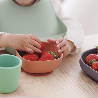 BEABA 100% Silicone 4 Piece Baby Feeding Set, Suction Plates for Baby, Includes Plate, Bowl, Cup, 2nd Stage Silicone Spoon, High Grade Food Safe Silicone, Mineral