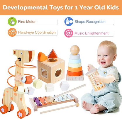 Wooden Montessori Toys Set for Toddlers,Wooden Toy Set for Babies Educational Object Permanence Box,Xylophone(Glockenspiel),Stacking,Rattle Birthday Gift for Boys Girls Ages 1 2 3 4 5