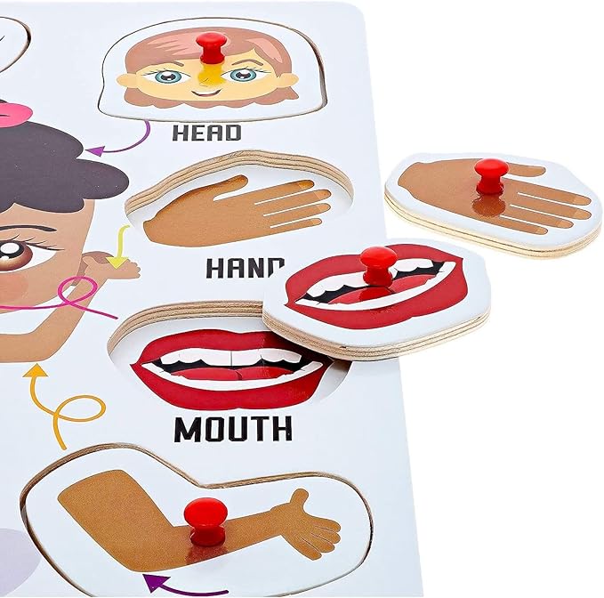 Blue Panda 2 Pack Educational Wood Peg Anatomy Puzzle Toys for Kids Game, Human Body Parts