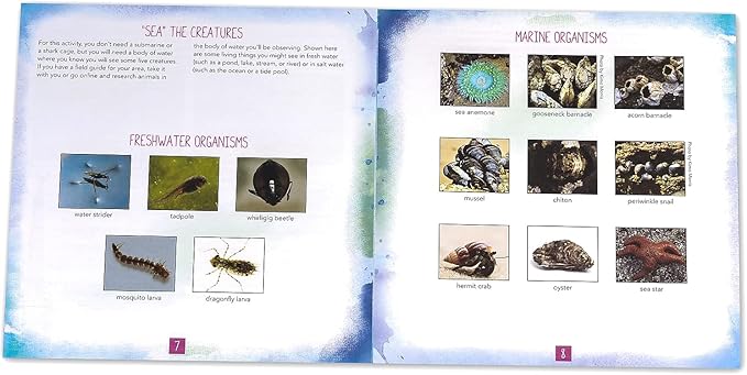 Educational Insights Nancy B's Science Club AquaScope, Explore Underwater Without Getting Wet, Includes Magnifier & LED Flashlight, Ages 8+