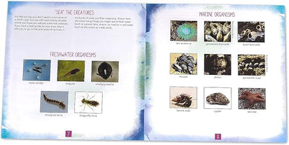 Educational Insights Nancy B's Science Club AquaScope, Explore Underwater Without Getting Wet, Includes Magnifier & LED Flashlight, Ages 8+