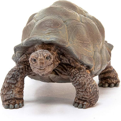 Schleich Wild Life Realistic Exotic Galapagos Giant Tortoise Figurine - Wild Animal Figurine Giant Tortoise Toy for Wildlife Play and Imagination for Toddlers Boys and Girls, Gift for Kids Age 3+