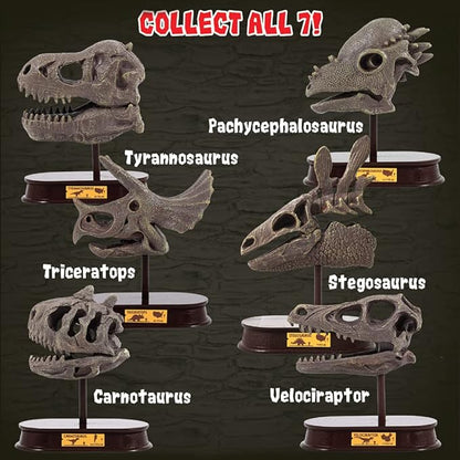 ArtCreativity Dinosaur Excavation Kit for Kids, Brachiosaurus Skull Excavating Set with Fossil Digging Tools and Stand, Fun Science Activity Toy, Educational Dinosaur Gift for Boys and Girls