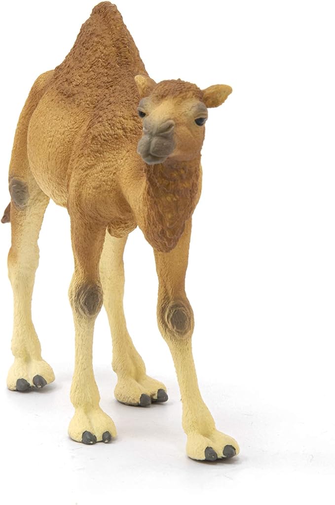 Schleich Wild Life Realistic Dromedary Camel Figurine - Authentic and Highly Detailed Wild Animal Toy, Durable for Education and Fun Play, Perfect for Boys and Girls, Ages 3+, Multicolor, 3.9 inch