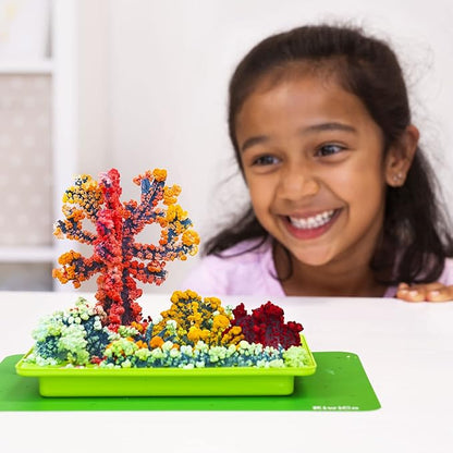 KiwiCo - Crystal Chemistry Garden, Chemistry Learning Toy for Kids, Ages 5+