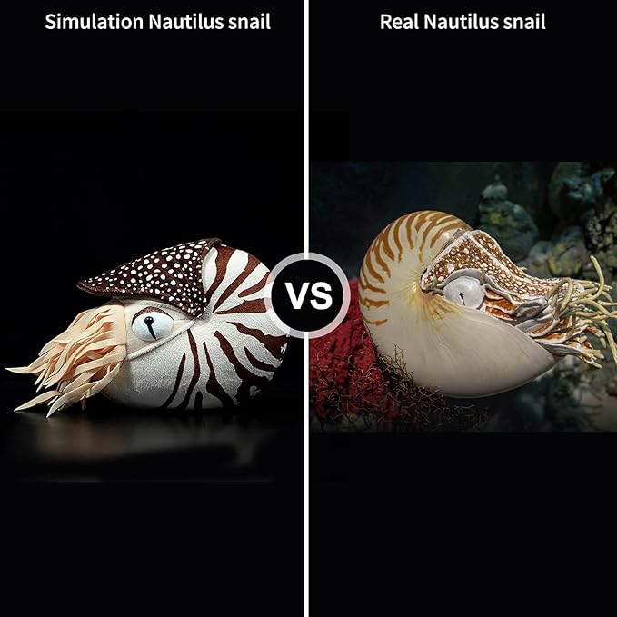 ZHONGXIN MADE Simulation Nautilus Plush Toy - Lifelike Real Life Chambered Nautilus Stuffed, Animal Toy Soft Sea Life Toys Gifts for Kids, 8 Inches