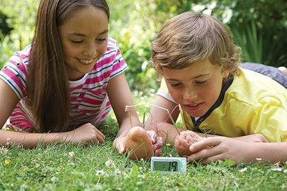 4M Potato Clock DIY Green Science Chemistry Engineering Lab - STEM Toys Educational Gift for Kids & Teens, Girls & Boys, Brown