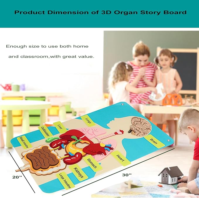 Hora de Lima Body Parts Learning Kit Felt Artcraft Human Anatomy 3D Organ Costume Cognitive Board for Kids Sensory Educational Tool Toy Removable for Home Preschool Early Childhood Teaching Aid