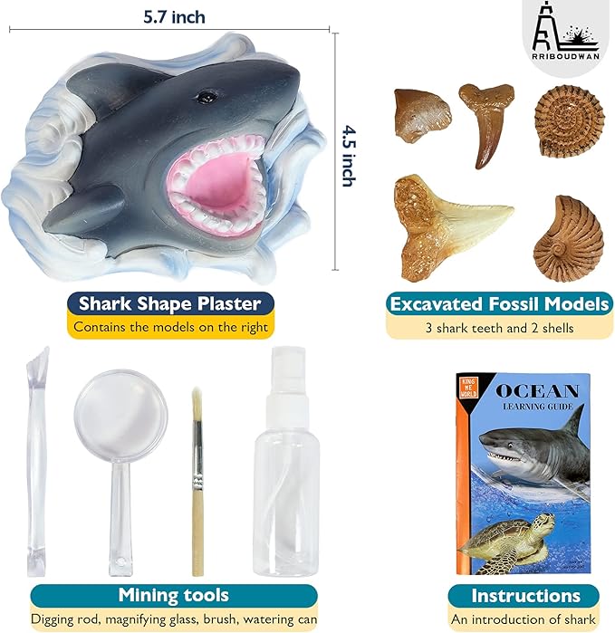 Shark Tooth Dig Kit, Shark Tooth Excavation Fossil, Shark Science Toy Gift for Kids Age 5+ for Holiday Birthday