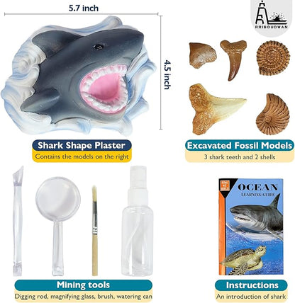 Shark Tooth Dig Kit, Shark Tooth Excavation Fossil, Shark Science Toy Gift for Kids Age 5+ for Holiday Birthday