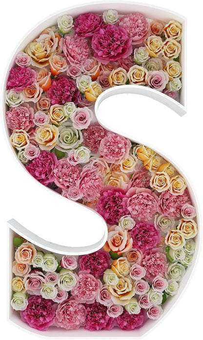 2FT Letter S Mosaic Balloon Frame Letter DIY Fillable Letters Kit for Birthday Party Wedding Backdrop Decor