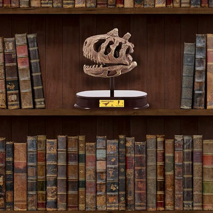 ArtCreativity Dinosaur Excavation Kit for Kids, Carnotaurus Skull Excavating Set with Fossil Digging Tools and Stand, Fun Science Activity Toy, Educational Dinosaur Gift for Boys and Girls