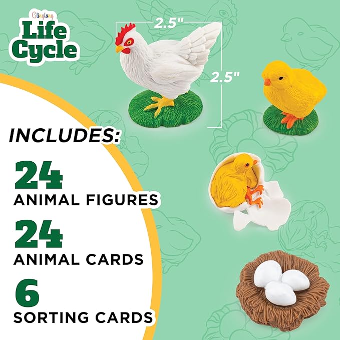 Life Cycle Science Kit Montessori Realistic Figurine, Kids Animal Matching Game with Frog, Ladybug and More Includes 24-Piece, Fun Learning Education Toys Stocking Stuffers for Children 3 4 5 6 7 8