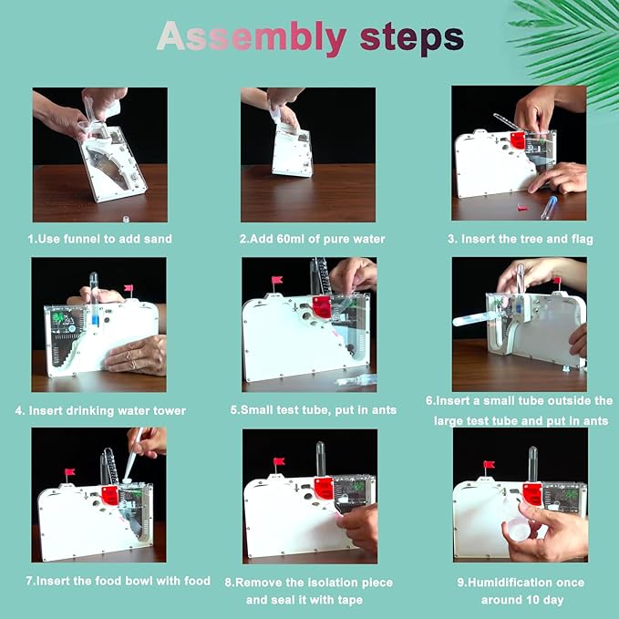 Sand Ant Farm Castle for Kids,Large Ant Habitat to Study Insect Behavior,Ant Colony Ecosystem Science Educational Gift for Classroom