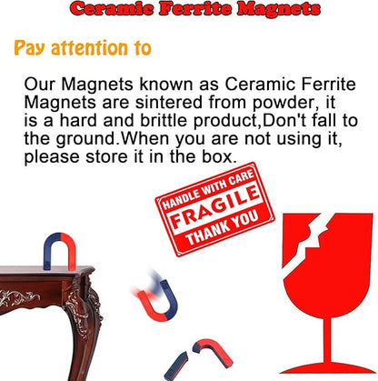 EUDAX Physics Science Magnets Kit for Education Science Experiment Tools Icluding Bar/Ring/Horseshoe/Compass Magnets