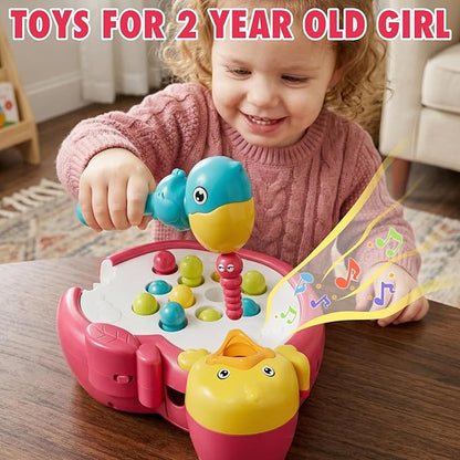 Magnetic Bird Feeding Game Woodpecker Worm Toy Montessori Fine Motor Skills Toddler Toy Age 2-4 Sensory Toys for Toddlers 3-5 Educational Learning Toys 2 Year Old Boy and Girl Gifts