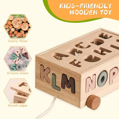 Montessori Shape Sorter Toys for Toddler 1-3, Silicone Alphabet Letters Baby Puzzles & Flash Cards, Fine Motor Skills Preschool Learning Toys, Activities Birthday Gift for 1 2 3 Years Old Boys Girls