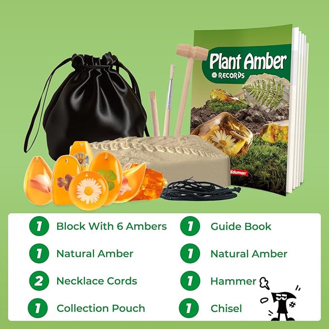EDUMAN Amber Dig Kit - 6 Artificial Plant Resin Specimens, Biology Fossil Excavation Set with Natural Amber, STEM Inspired Educational Toy for Kids Ages 6-12, for Boys & Girls