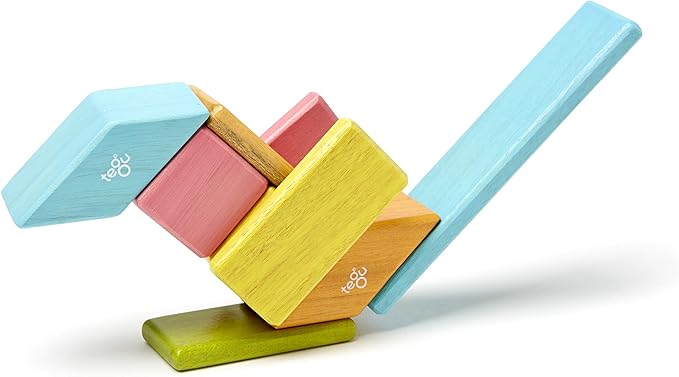 Tegu 14 Piece Magnetic Wooden Block Set in Tints
