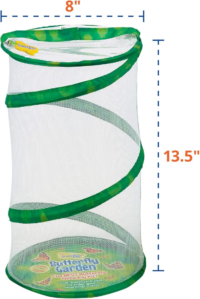 Insect Lore Butterfly Garden - 8" Habitat | 1 Cup of Live Baby Caterpillars | Life Cycle Figurines, Stickers, Wind up, Mini Habitat | Birthday or Teacher Gift Set